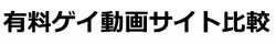有料ゲイ動画サイト比較