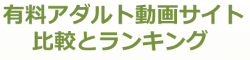 有料アダルト動画サイト比較とランキング