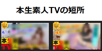 本生素人TVの短所